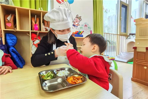 进才幼儿园 家长食品安全寻访团进园参观