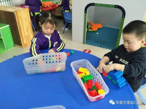 草莓班 幸福幼儿园