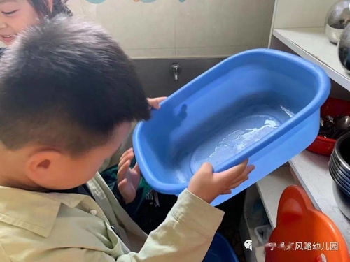 桃 你欢心 东风路幼儿园桃子采摘活动